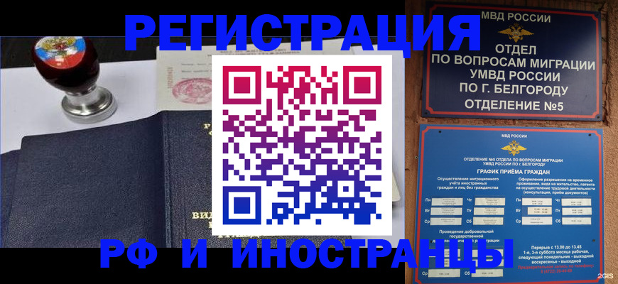 временная регистрация поиск в Королёве